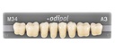 Odipal x8