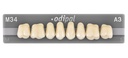 Odipal x8 