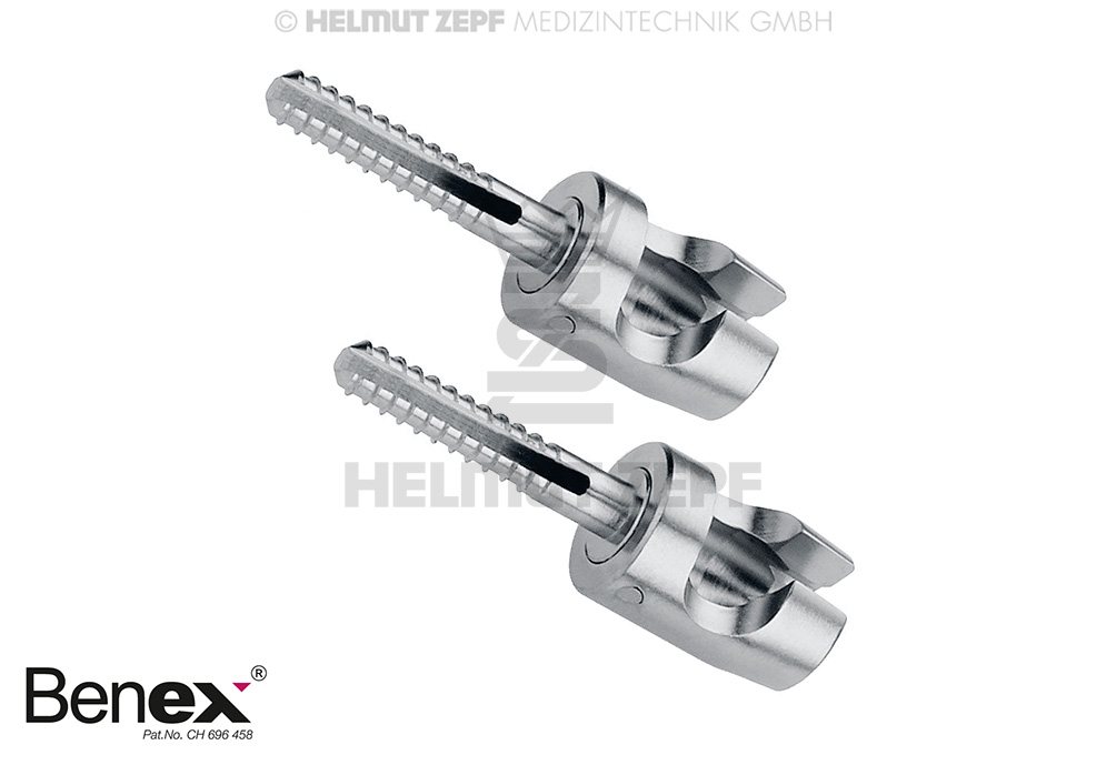 VIS, COURTE, 10 MM (1 PAIRE), DIAM. 2,1MM 