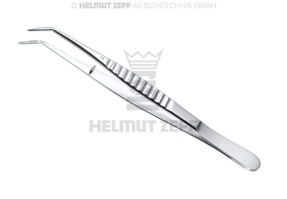 LONDON COLLEGE, PRÉCELLE P. COTON, FIG.3 MODIFIÉ STRIÉ, 15 CM 