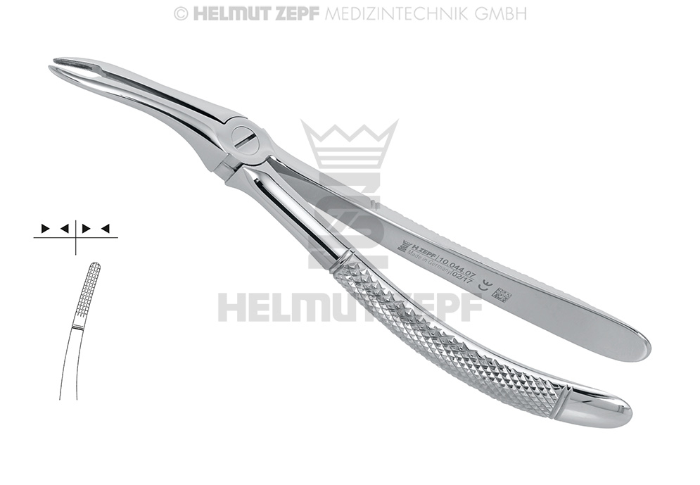 DAVIER, FORME ANGL., FIG. 44-F, RACINES SUPERIÉURES 