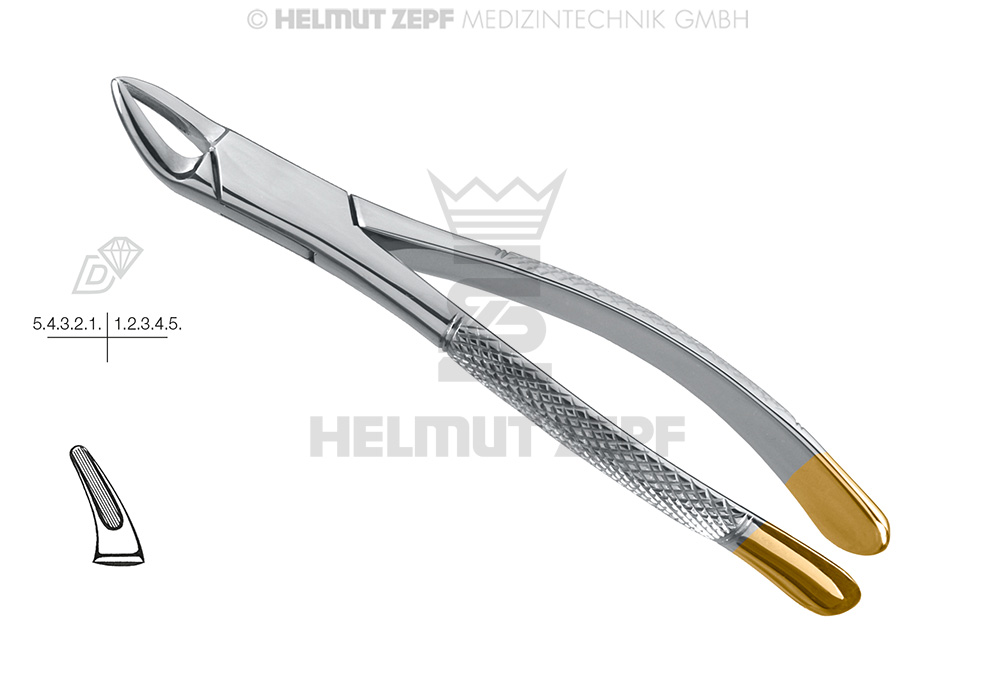 CRYER, DAVIER, FORME AMÉRICAINE, FIG. 150, DIAMANTÉ, INCISIVES, PRÉMOLAIRES & RACINES SUPÉRIEURES