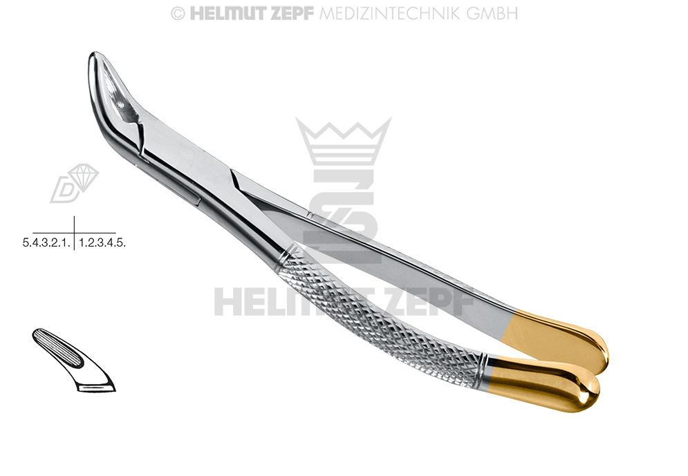 CRYER, DAVIER, FORME AMÉR., FIG. 151, DIAMANTÉ, INCISIVES, PRÉMOLAIRES & RACINES