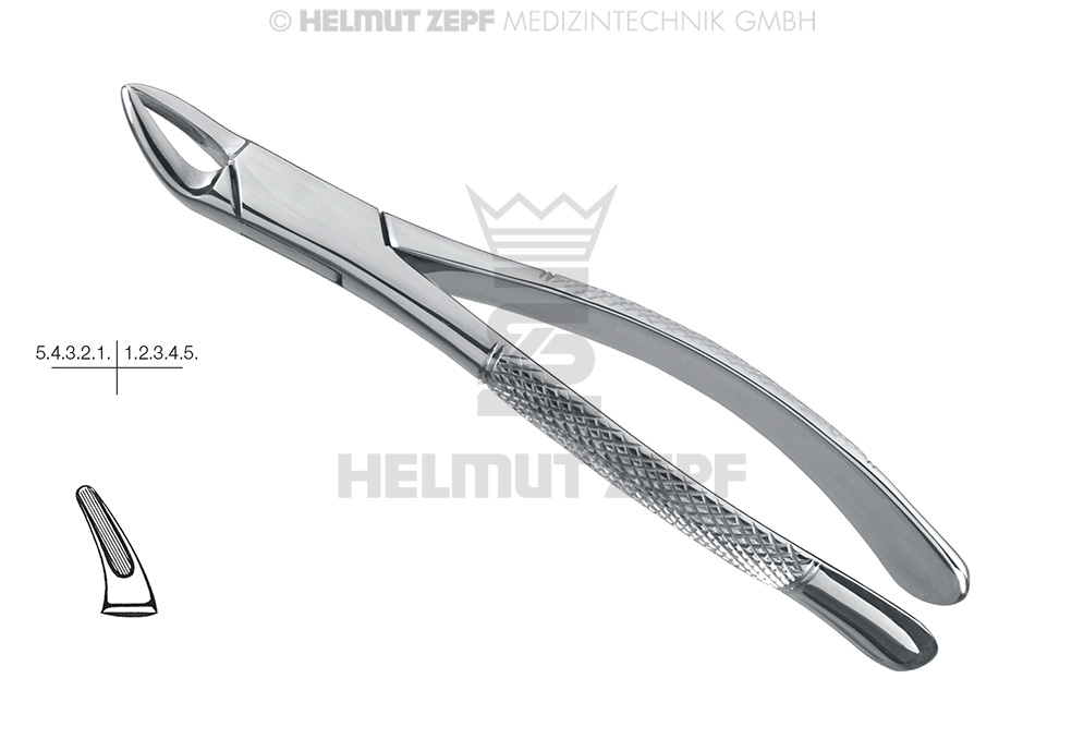 CRYER, DAVIER, FORME AMÉRICAINE, FIG. 150,  INCISIVES., PRÉMOLAIRES ET RACINES SUPÉRIEURES