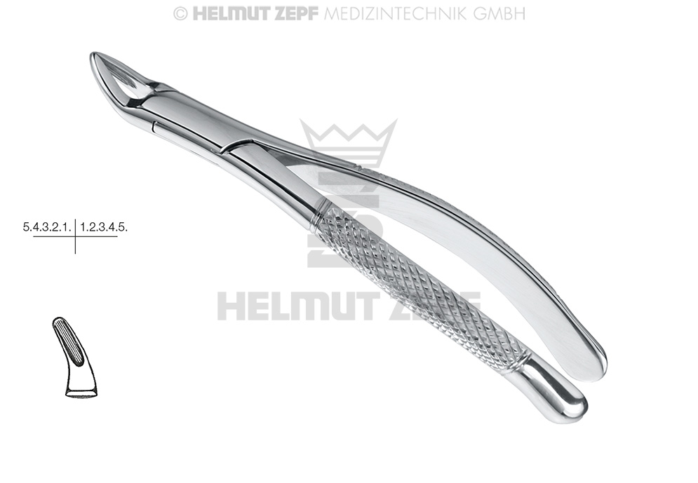 CRYER, DAVIER POUR ENFANTS, FIG. 150-S, FORME AMÉRICAINE, DENTS SUPÉRIEURES