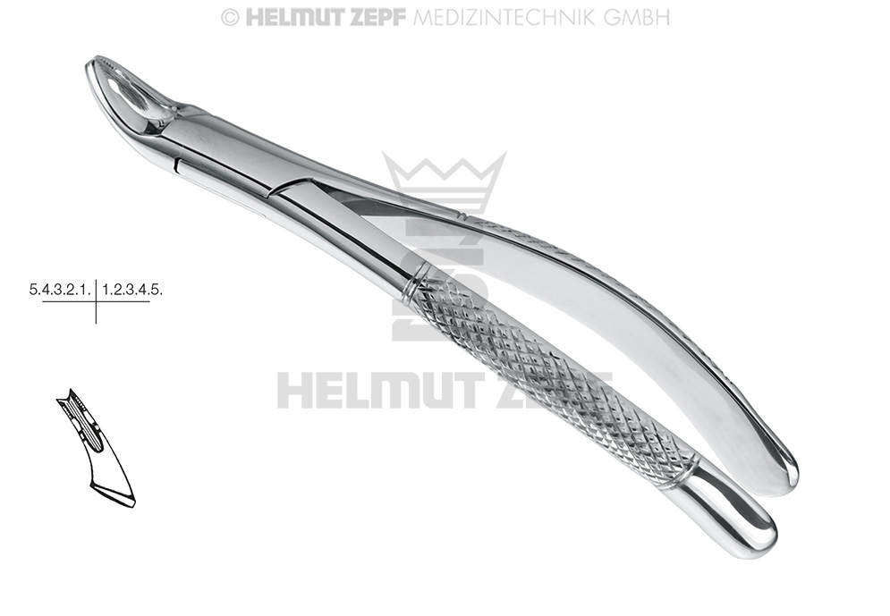 DAVIER P.ENFANTS, FORME AM., FIG.150-AS, DENTS SUPÉRIEURES 