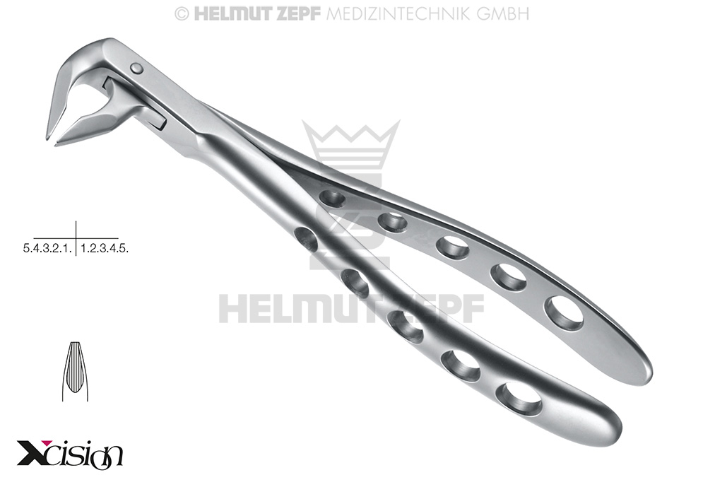 DAVIER, FORME ANGLAISE, FIG.36N INCISIVES INFÉRIEURES ET PRÉMOLAIRES AVEC POINTE SPÉCIALE