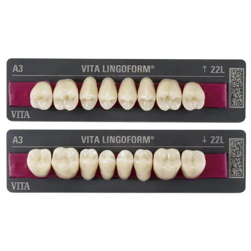 Vitapan Lingoform posterior