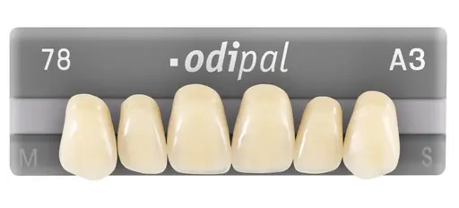 Odipal x6