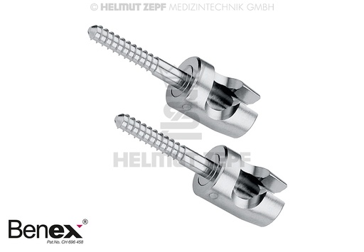 [1230060] VIS, PETITE, 10 MM (1 PAIRE) DIAM. 1,6 MM 