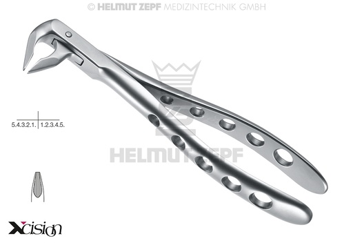 [1203607Z] DAVIER, FORME ANGLAISE, FIG.36N INCISIVES INFÉRIEURES ET PRÉMOLAIRES AVEC POINTE SPÉCIALE