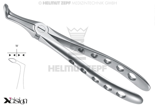 [1204515ZS] DAVIER RACINES INFÉRIEURES, FIG. 45-SB >> BORDS DES MORS STRIÉS XCISION-LINE®