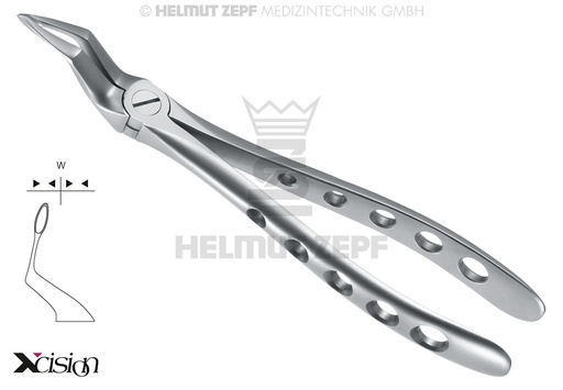 [1205115ZS] DAVIER P.RACINES SUPERIEURES, FIG. 51-SB >> BORDS DES MORS STRIES XCISION-LINE®