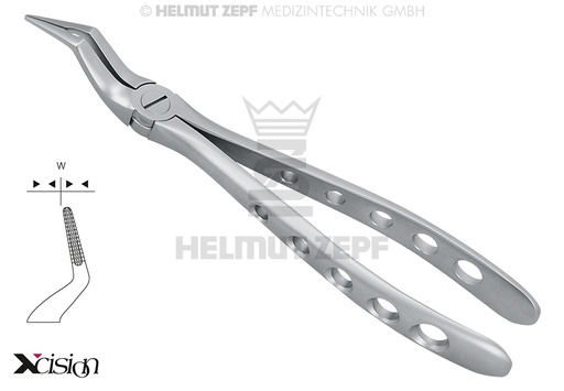 [1205197Z] DAVIER RACINES POUR MÂCHOIRE SUPÉRIEURE, FIG.51-W XCISION-LINE®