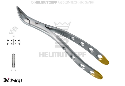 [1470001Z] WITZEL DAVIER À RACINES UNIVERSEL, DIAMANTÉ, XCISION DESIGN 